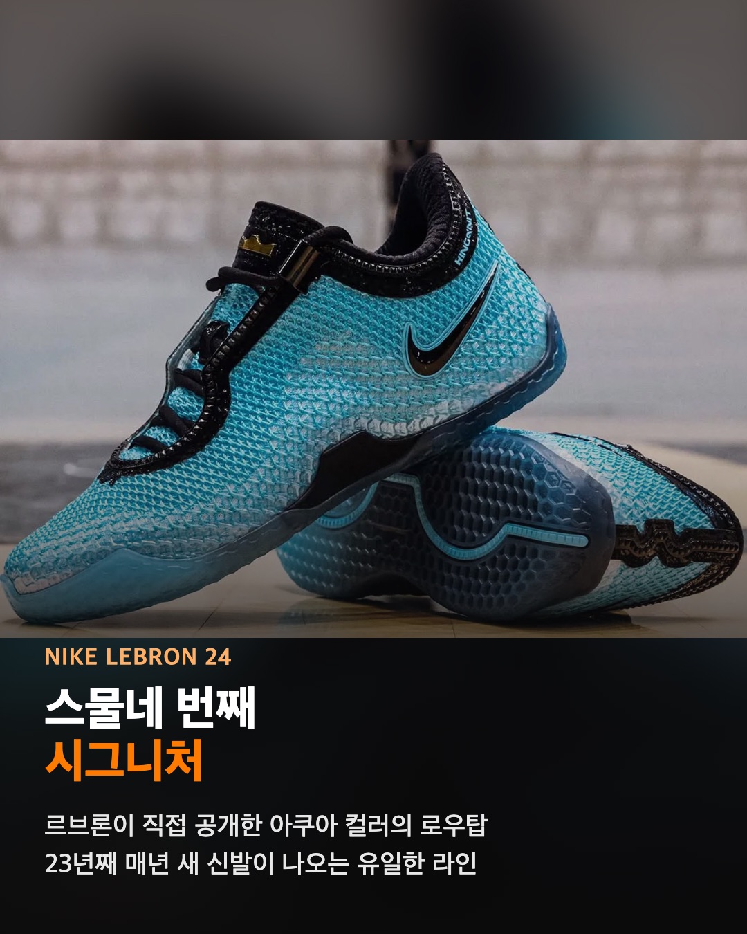 나이키 르브론 24