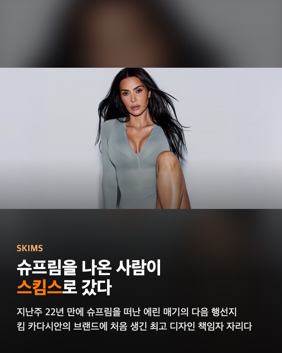 에린 매기, 스킴스로