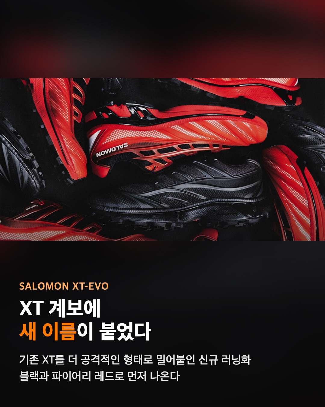 살로몬 XT-EVO
