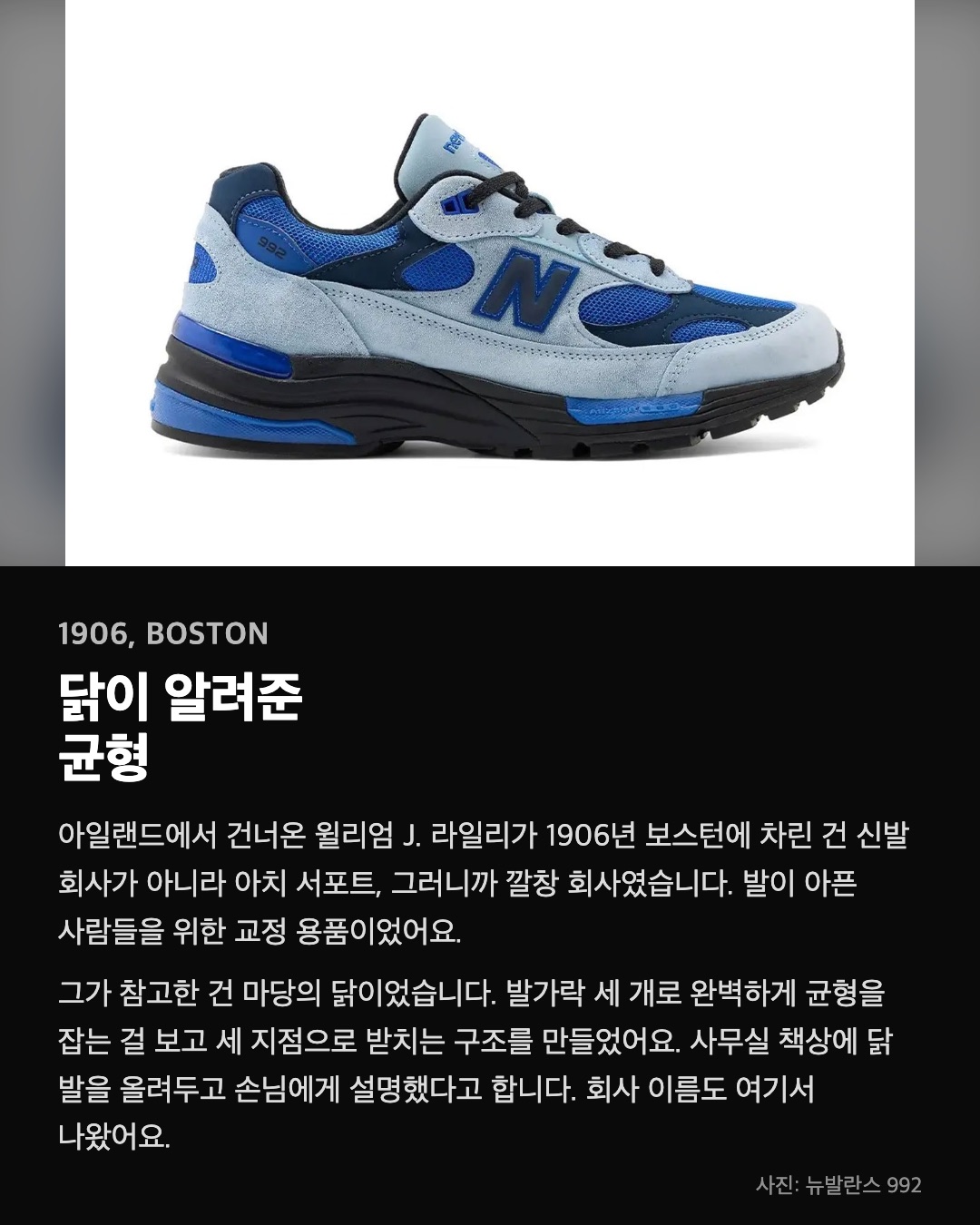 닭이 알려준 균형