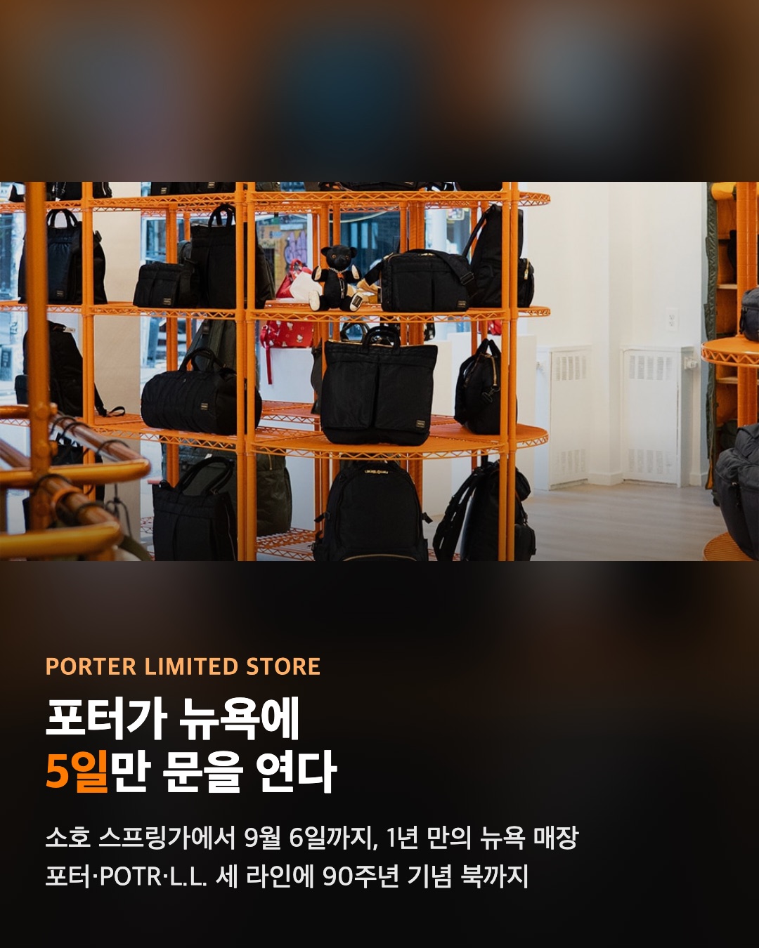 포터가 뉴욕에 5일만 문을 연다