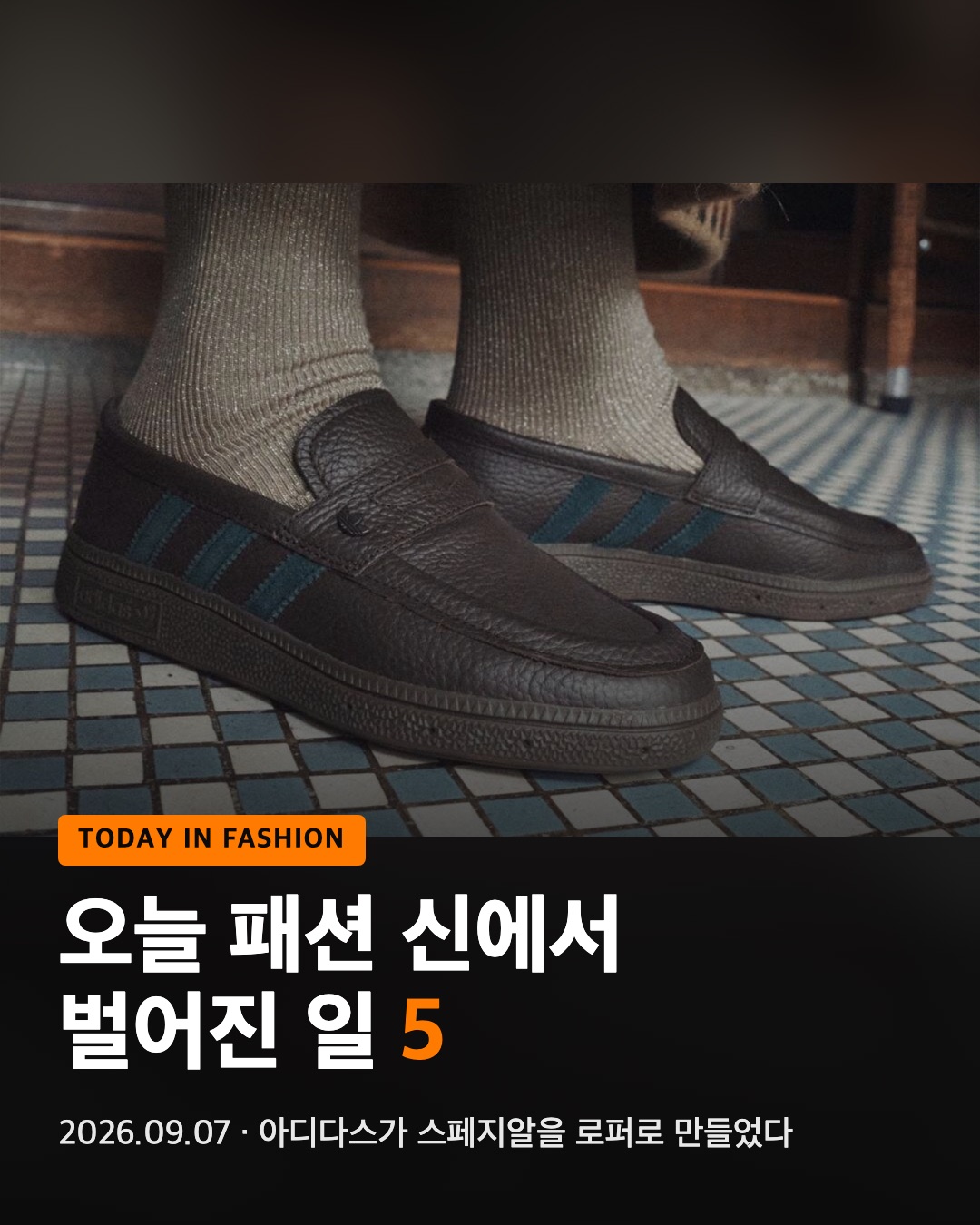 오늘 패션 신에서 벌어진 일 5