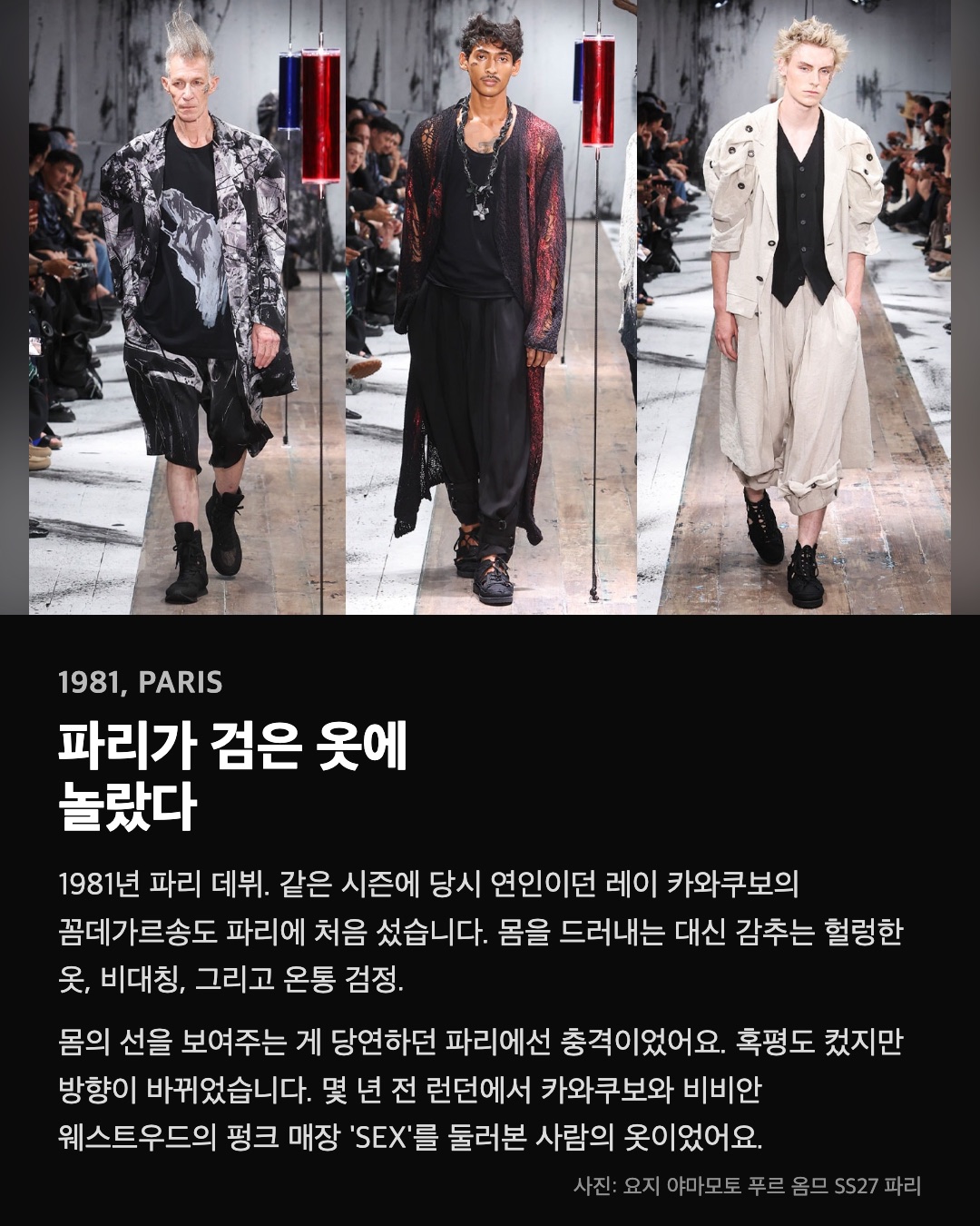 파리가 검은 옷에 놀랐다