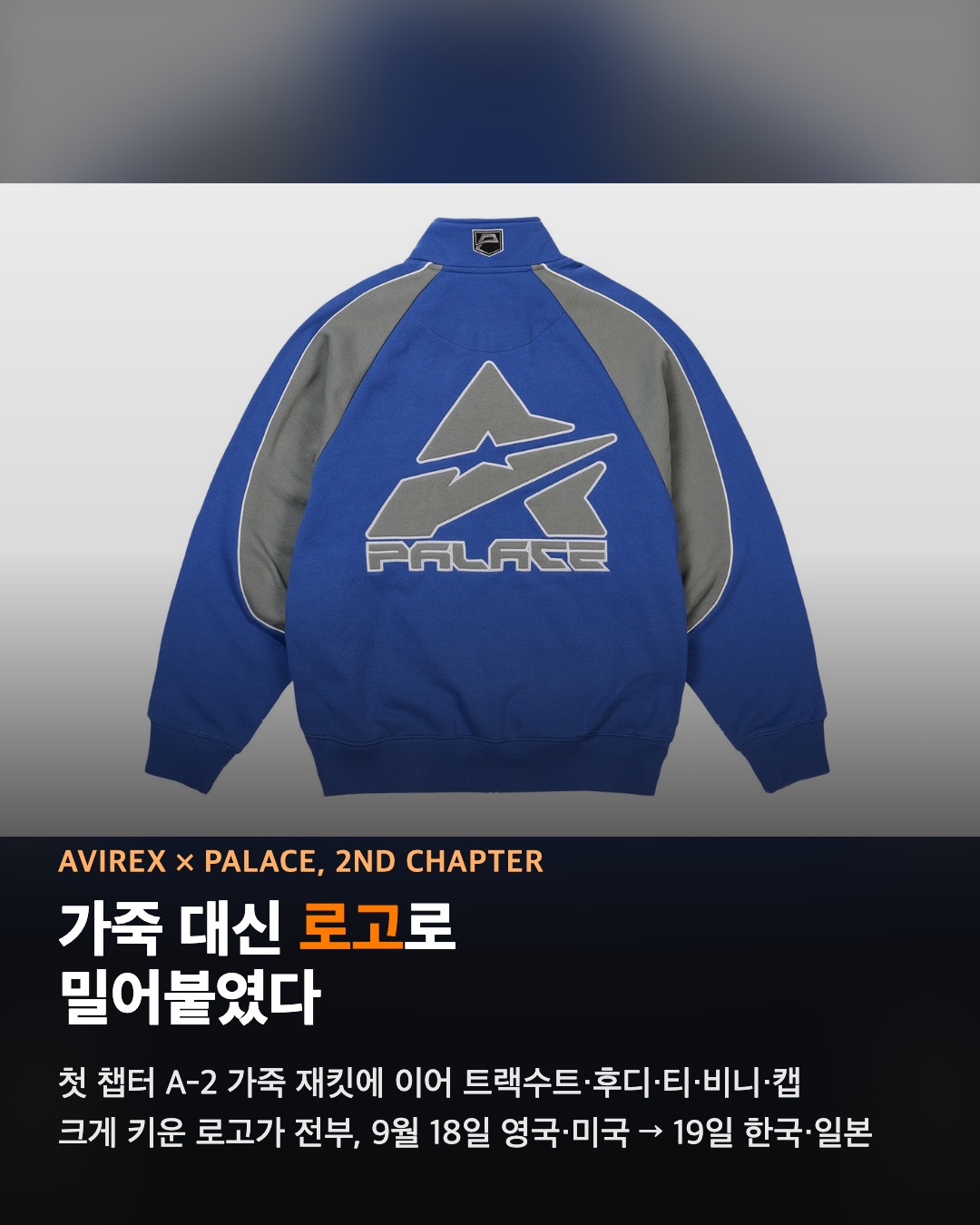 아비렉스 × 팔라스, 이번엔 가죽 대신 로고