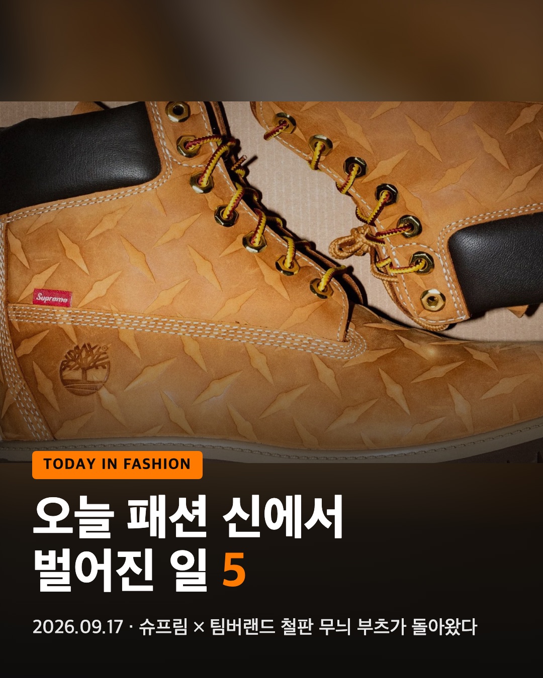 오늘 패션 신에서 벌어진 일 5