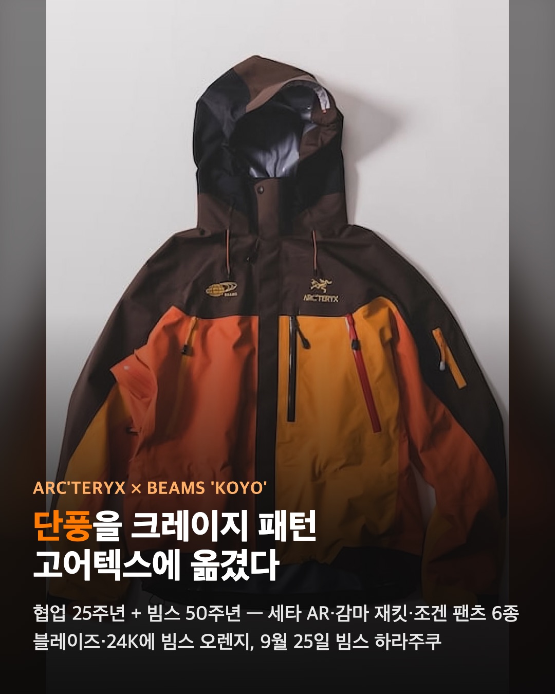 아크테릭스 × 빔스 'KOYO' — 단풍을 크레이지 패턴에